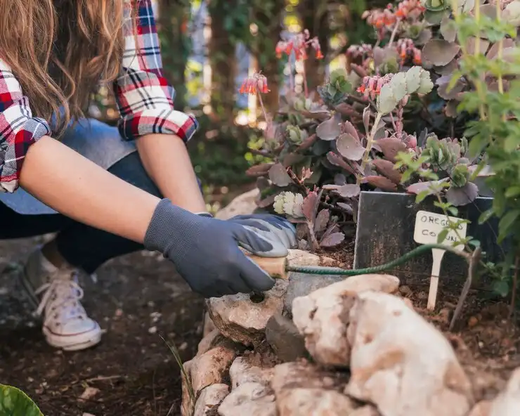 close-up-female-gardener-digging-soil-with-hand-hoe-garden_23-2148165193.webp